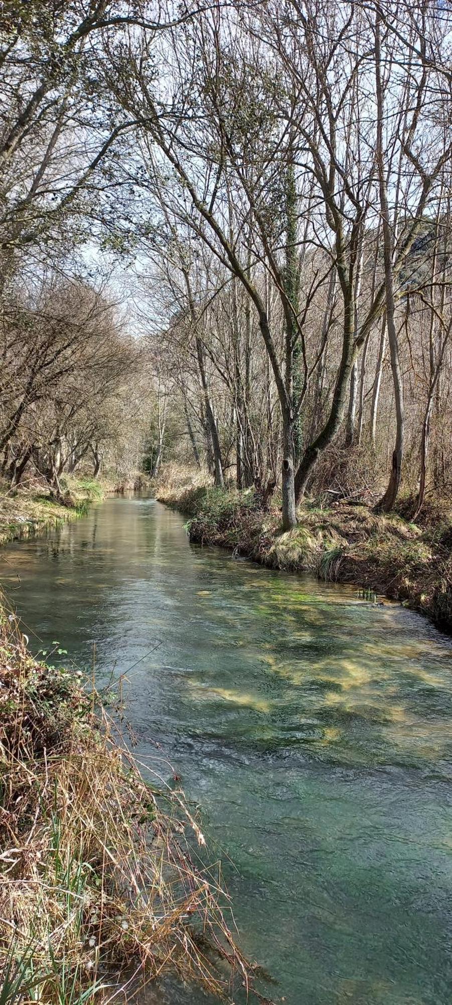 Spa Y Casa Rural Rio Dulce Aragosa Eksteriør billede